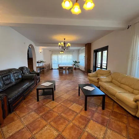 Vila Valea Rece Guest house *