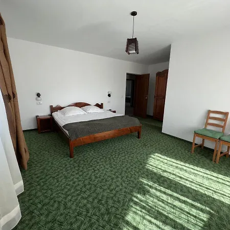 Guest house Vila Valea Rece